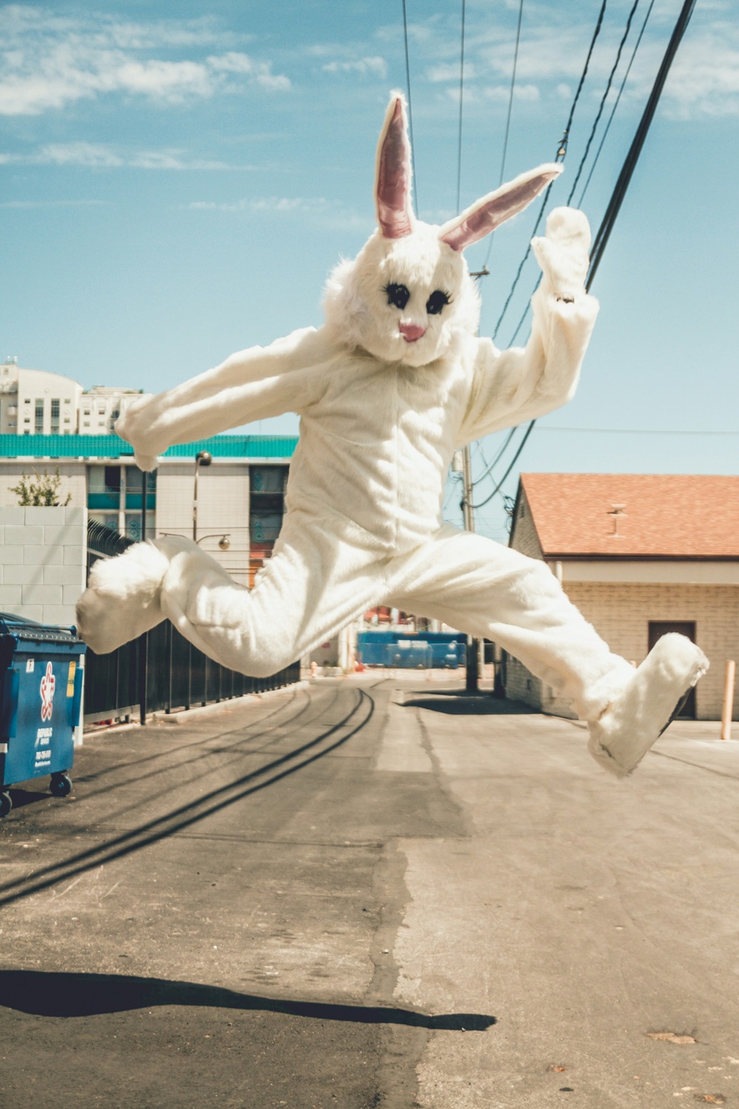 Osterhase, Foto von Kenny Eliason auf Unsplash 